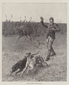 Coursing, het loslaten van de windhonden
